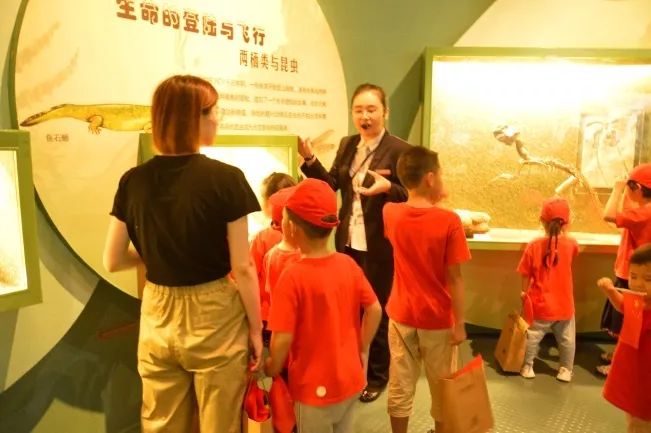 8871564569593573.jpg 微信圖片_20190731181409.jpg