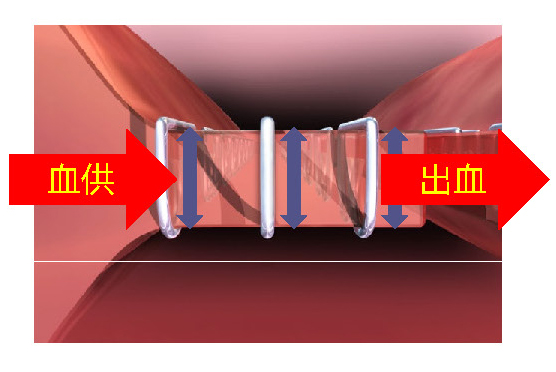 55157404224732.jpg 5.jpg